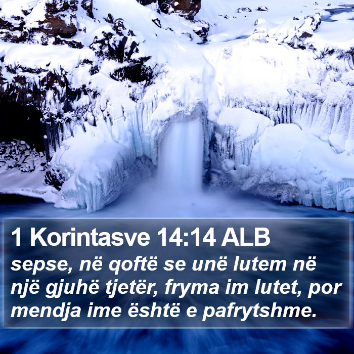 1 Korintasve 14:14 ALB Bible Study