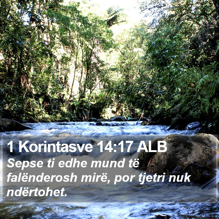 1 Korintasve 14:17 ALB Bible Study