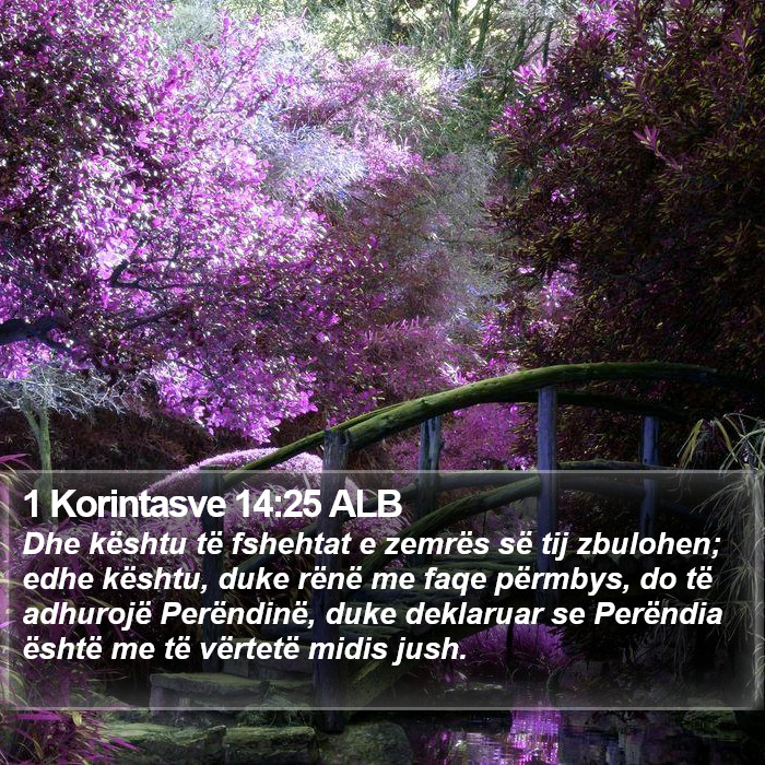 1 Korintasve 14:25 ALB Bible Study