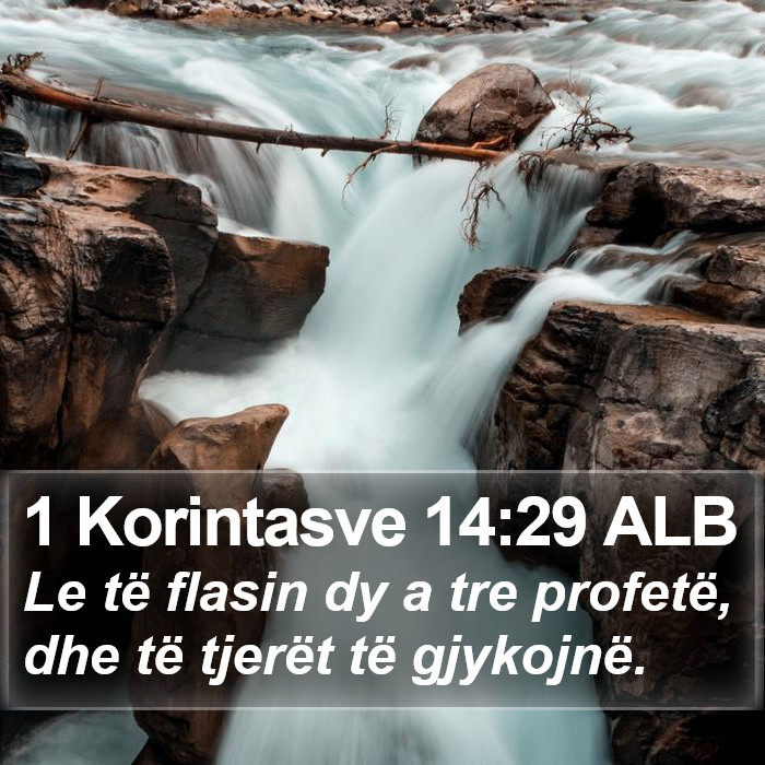 1 Korintasve 14:29 ALB Bible Study