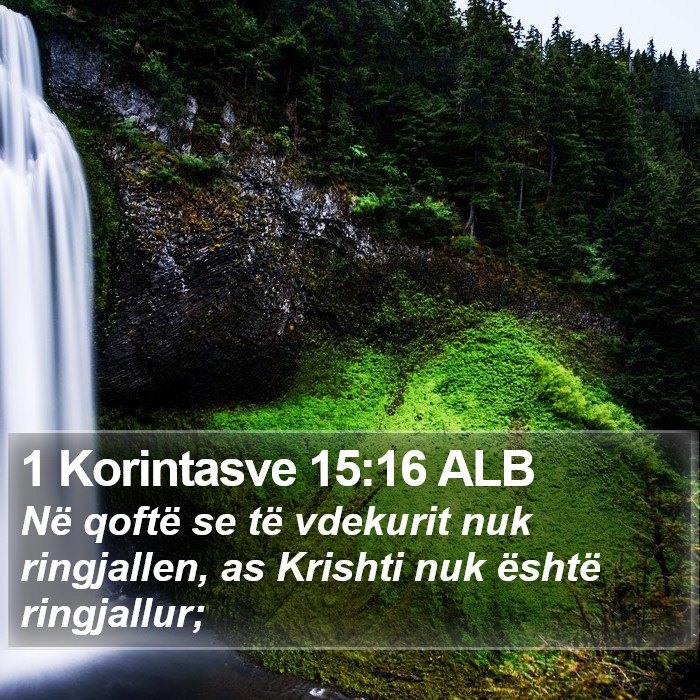 1 Korintasve 15:16 ALB Bible Study