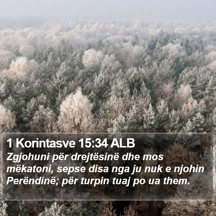 1 Korintasve 15:34 ALB Bible Study