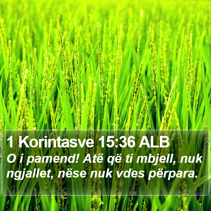 1 Korintasve 15:36 ALB Bible Study