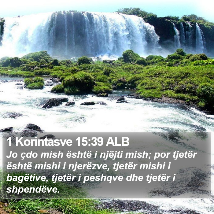 1 Korintasve 15:39 ALB Bible Study