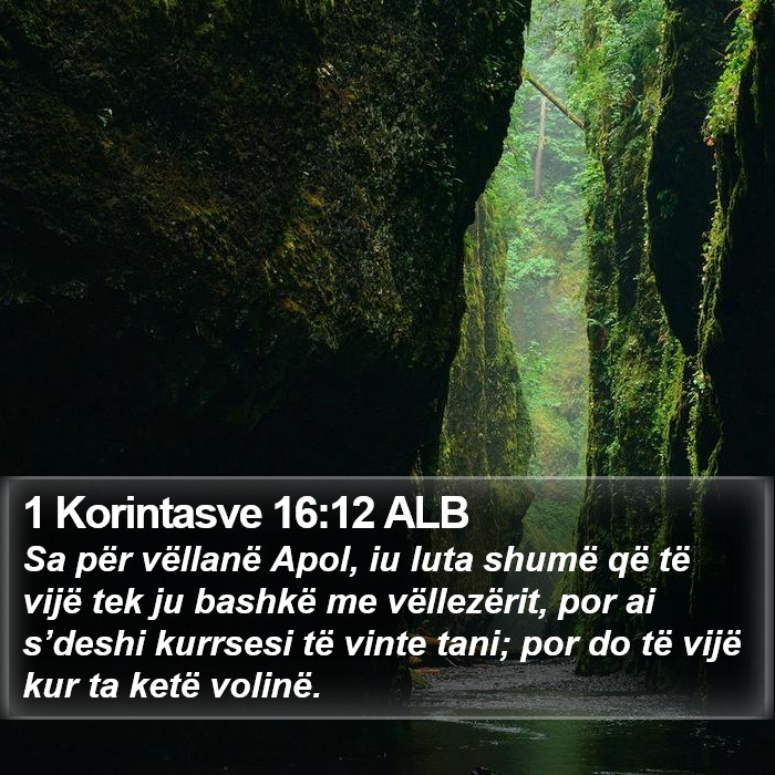 1 Korintasve 16:12 ALB Bible Study