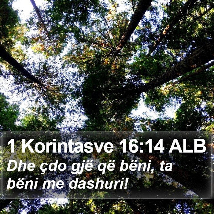 1 Korintasve 16:14 ALB Bible Study