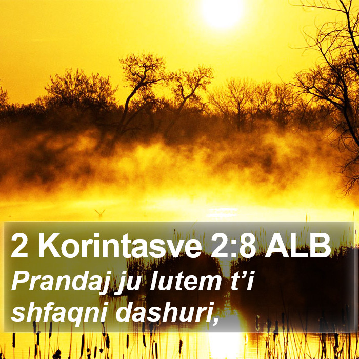 2 Korintasve 2:8 ALB Bible Study