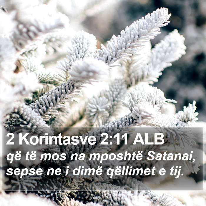 2 Korintasve 2:11 ALB Bible Study