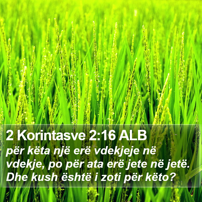 2 Korintasve 2:16 ALB Bible Study