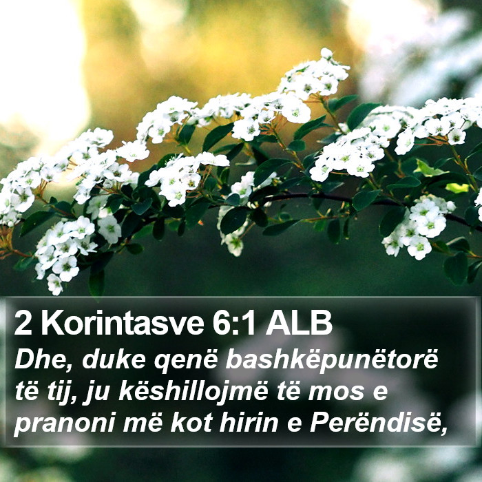 2 Korintasve 6:1 ALB Bible Study