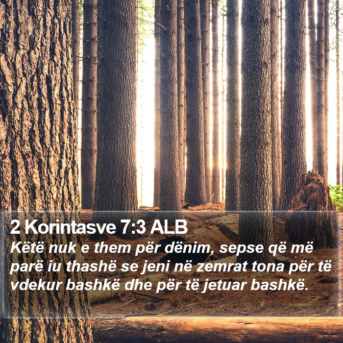 2 Korintasve 7:3 ALB Bible Study