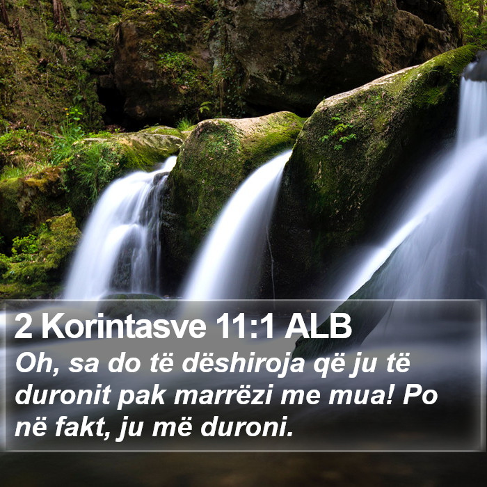 2 Korintasve 11:1 ALB Bible Study