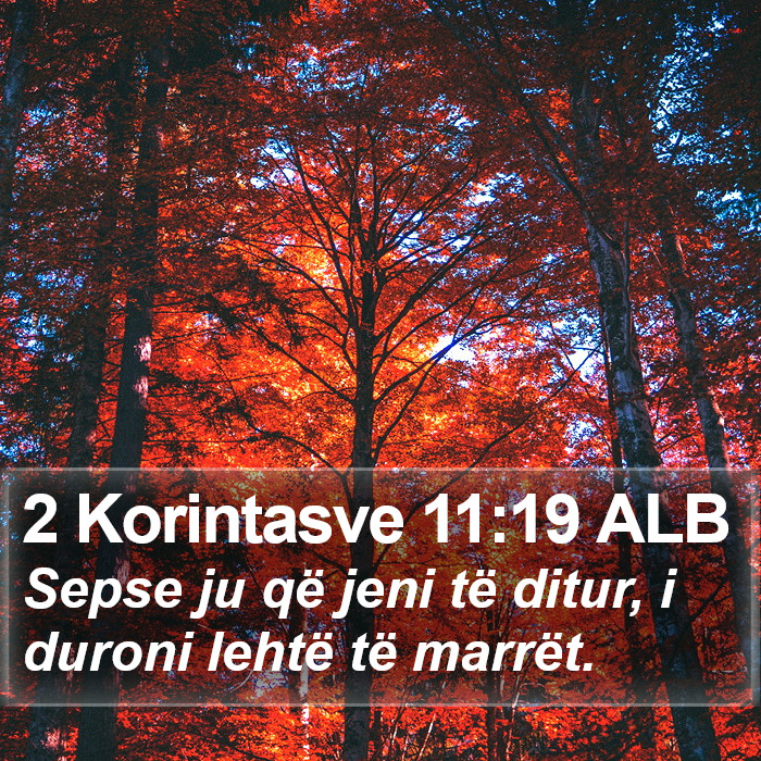 2 Korintasve 11:19 ALB Bible Study