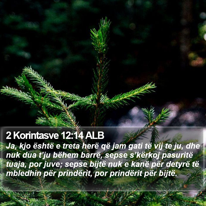 2 Korintasve 12:14 ALB Bible Study