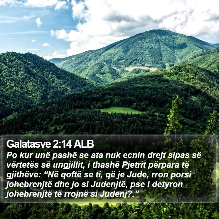 Galatasve 2:14 ALB Bible Study