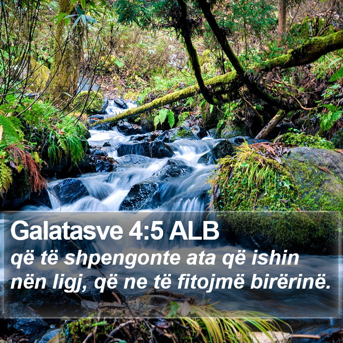 Galatasve 4:5 ALB Bible Study