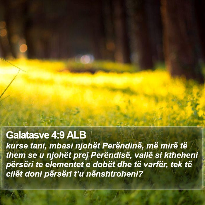 Galatasve 4:9 ALB Bible Study