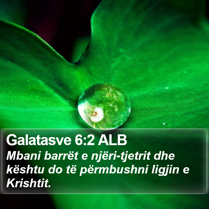 Galatasve 6:2 ALB Bible Study