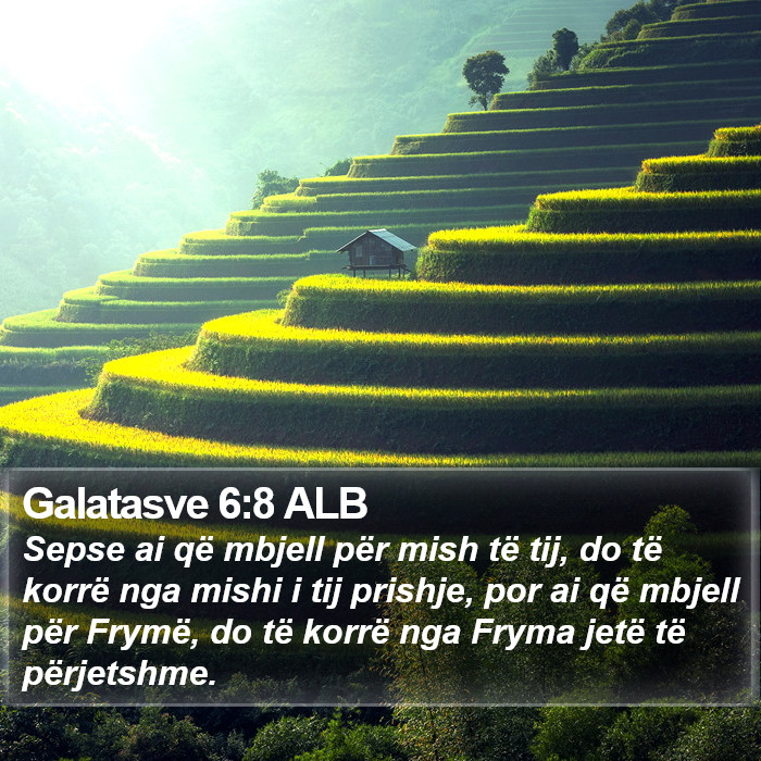 Galatasve 6:8 ALB Bible Study