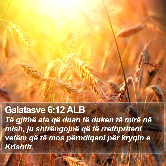 Galatasve 6:12 ALB Bible Study