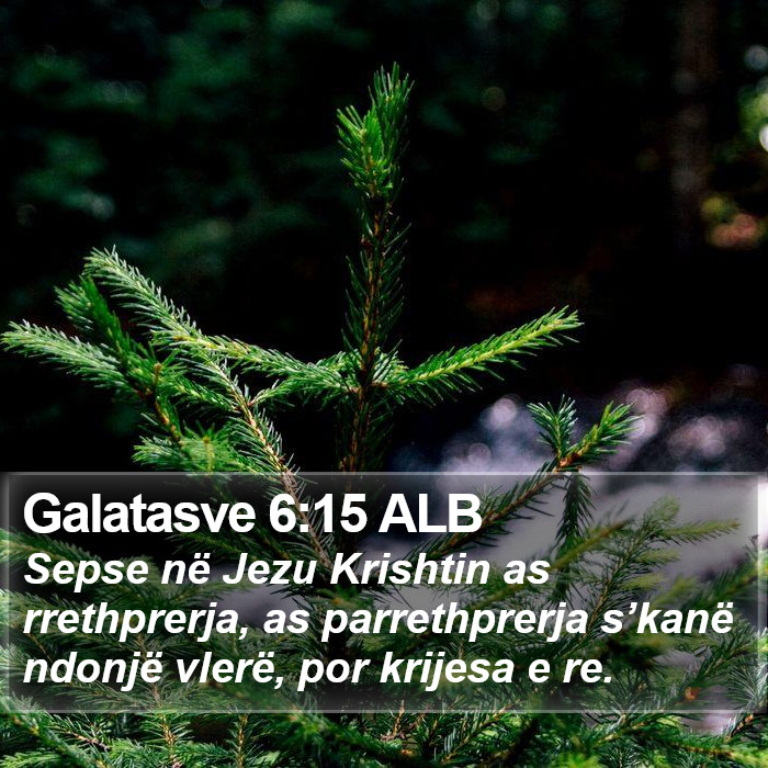 Galatasve 6:15 ALB Bible Study