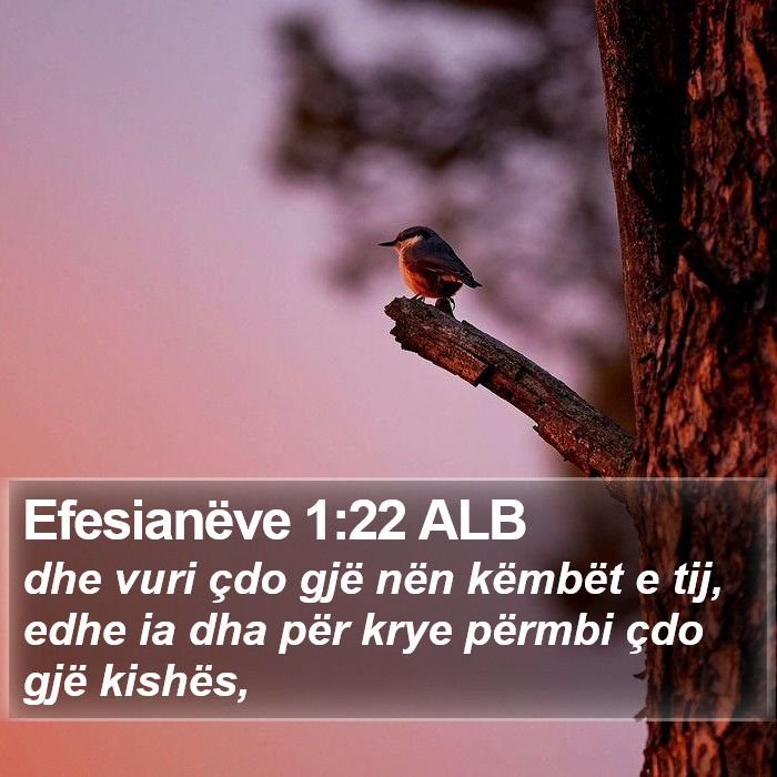 Efesianëve 1:22 ALB Bible Study