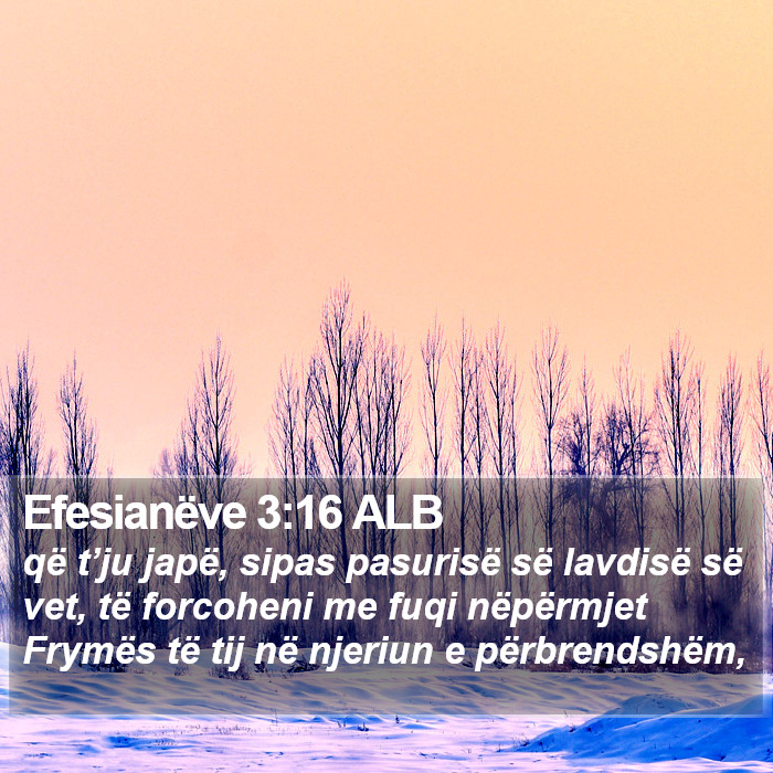 Efesianëve 3:16 ALB Bible Study