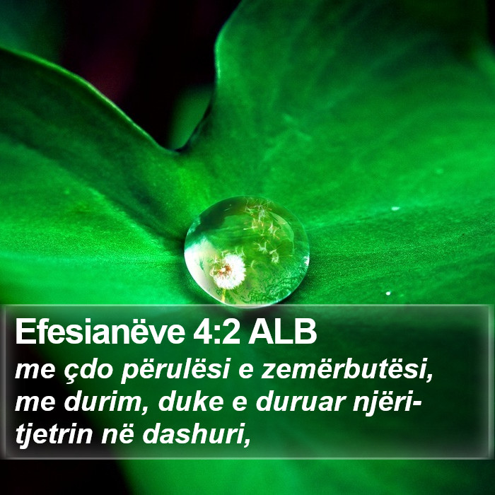 Efesianëve 4:2 ALB Bible Study