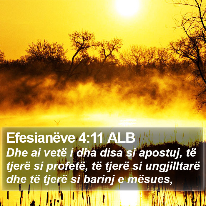 Efesianëve 4:11 ALB Bible Study
