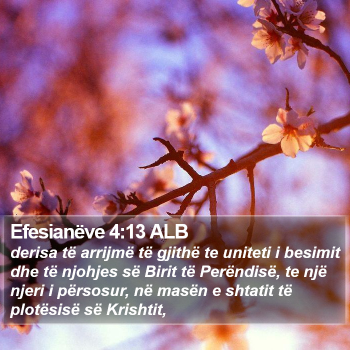 Efesianëve 4:13 ALB Bible Study