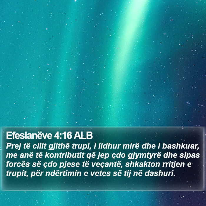 Efesianëve 4:16 ALB Bible Study