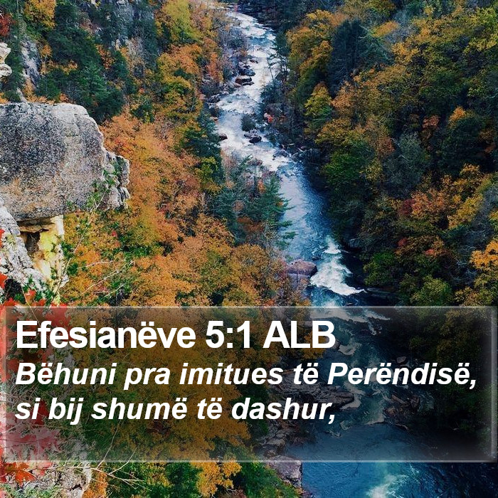 Efesianëve 5:1 ALB Bible Study