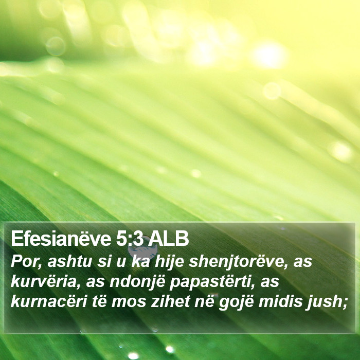 Efesianëve 5:3 ALB Bible Study