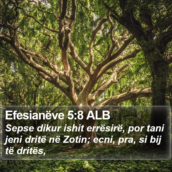 Efesianëve 5:8 ALB Bible Study