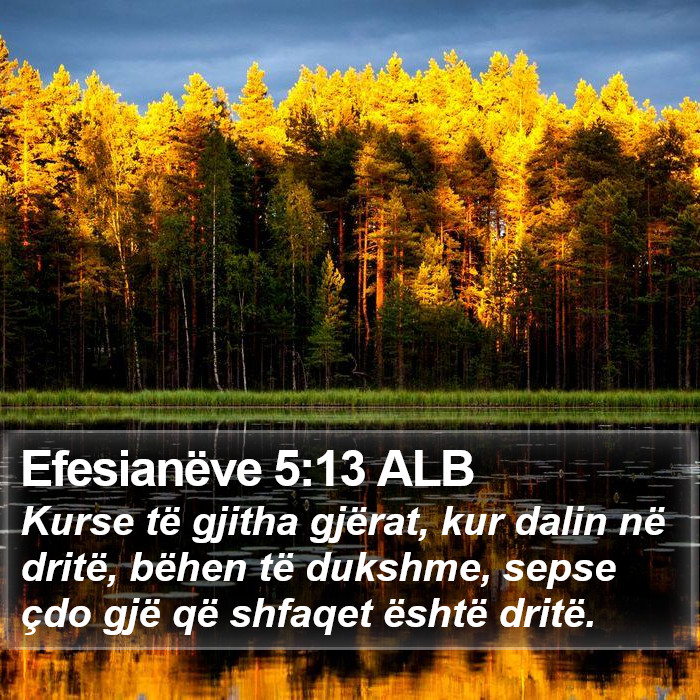 Efesianëve 5:13 ALB Bible Study