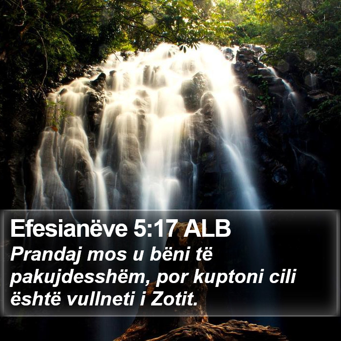 Efesianëve 5:17 ALB Bible Study