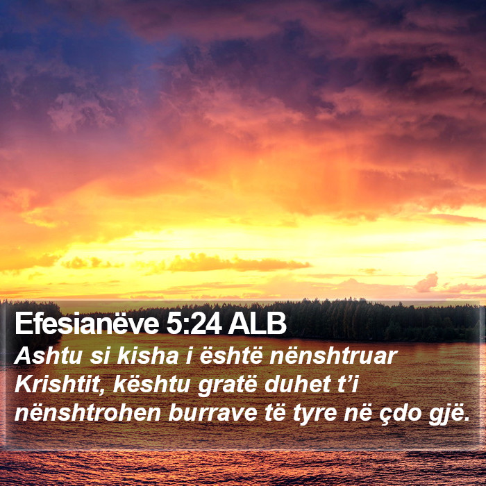 Efesianëve 5:24 ALB Bible Study