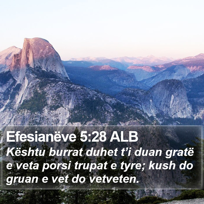 Efesianëve 5:28 ALB Bible Study