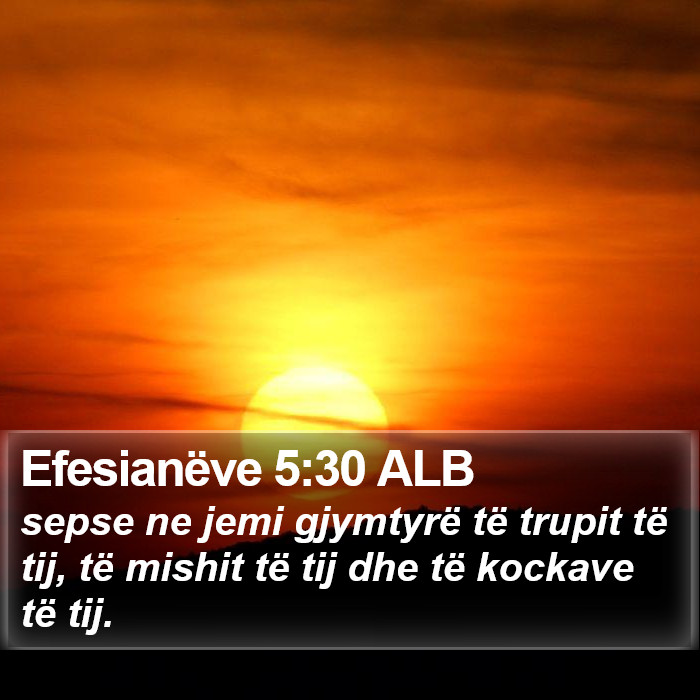 Efesianëve 5:30 ALB Bible Study