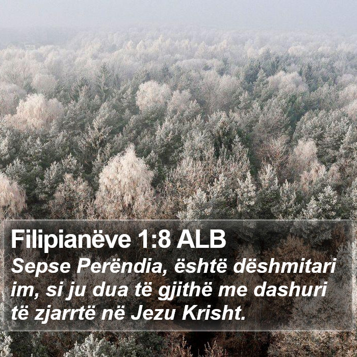 Filipianëve 1:8 ALB Bible Study