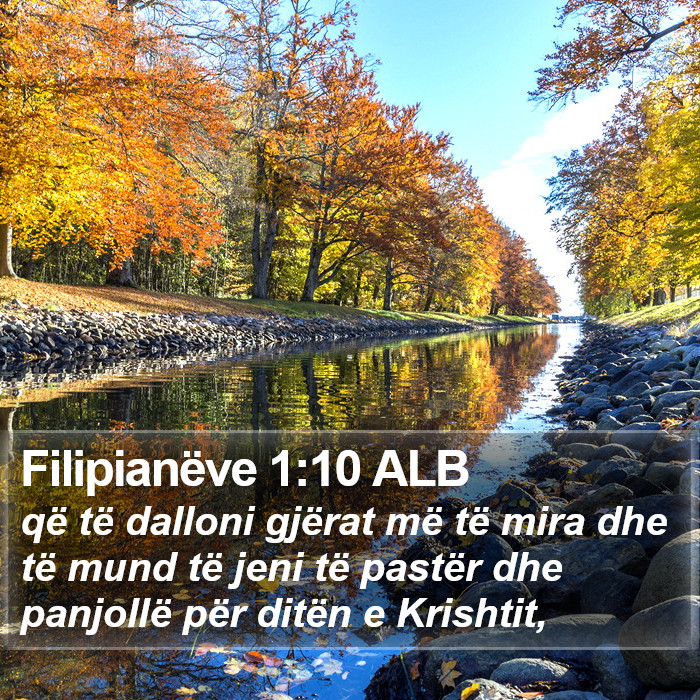 Filipianëve 1:10 ALB Bible Study