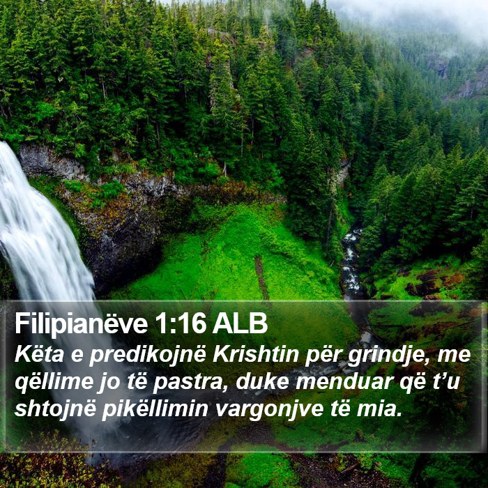 Filipianëve 1:16 ALB Bible Study