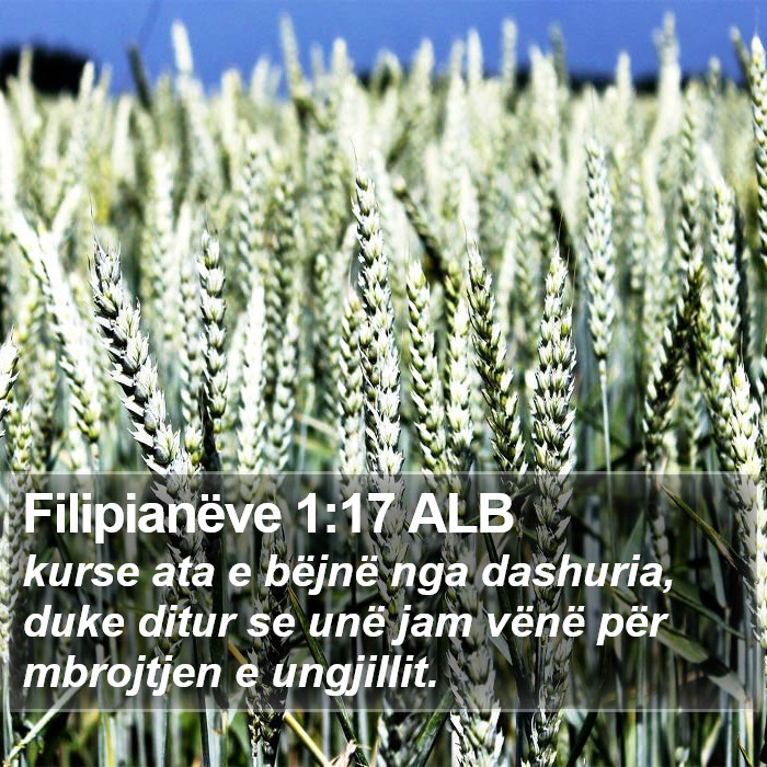 Filipianëve 1:17 ALB Bible Study