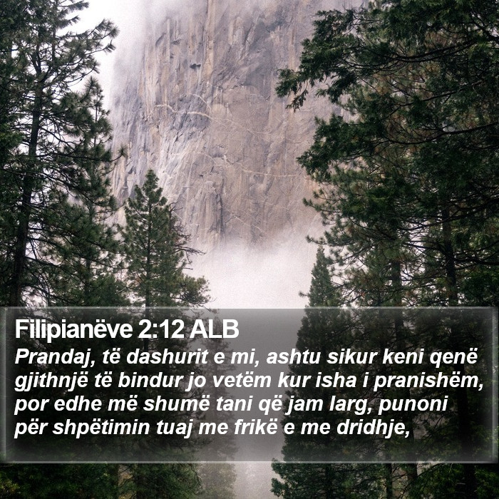 Filipianëve 2:12 ALB Bible Study