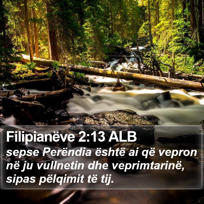 Filipianëve 2:13 ALB Bible Study