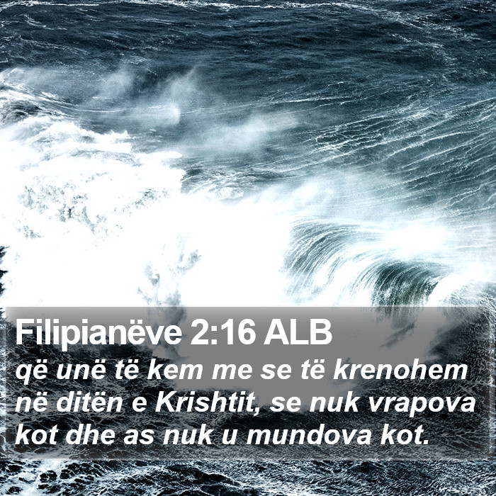Filipianëve 2:16 ALB Bible Study