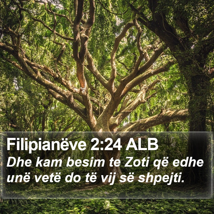Filipianëve 2:24 ALB Bible Study