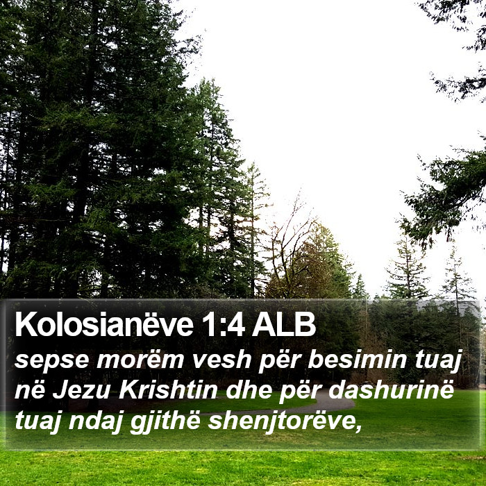 Kolosianëve 1:4 ALB Bible Study