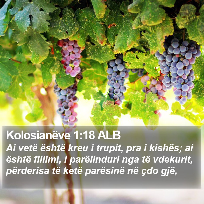 Kolosianëve 1:18 ALB Bible Study