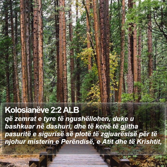 Kolosianëve 2:2 ALB Bible Study